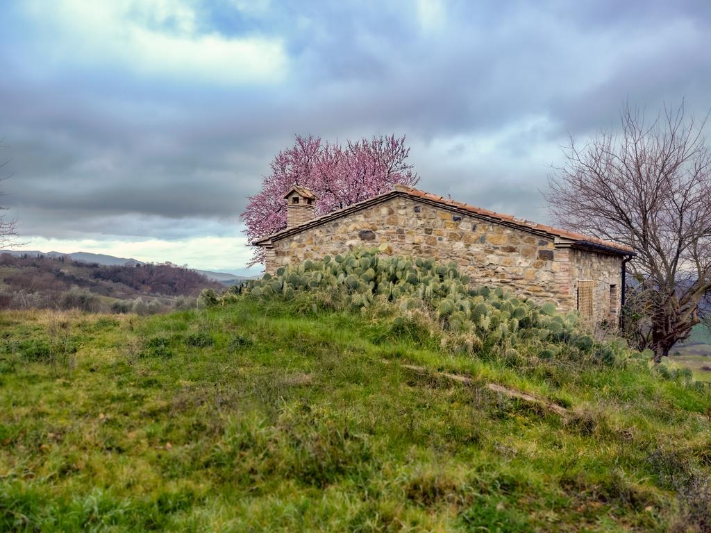 Agriturismo Le Canterie Radicondoli Exteriér fotografie